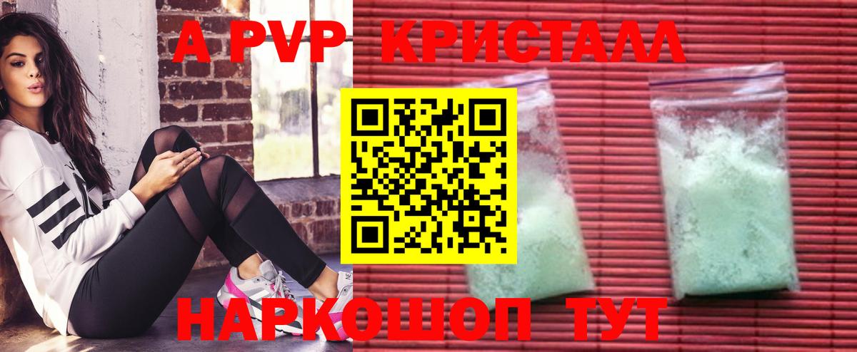 Alfa_PVP СК КРИС Минеральные Воды